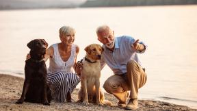 couple on the beach with their dogs